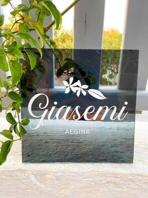 Giasemi Aegina, Modern House 빌라 외부 사진