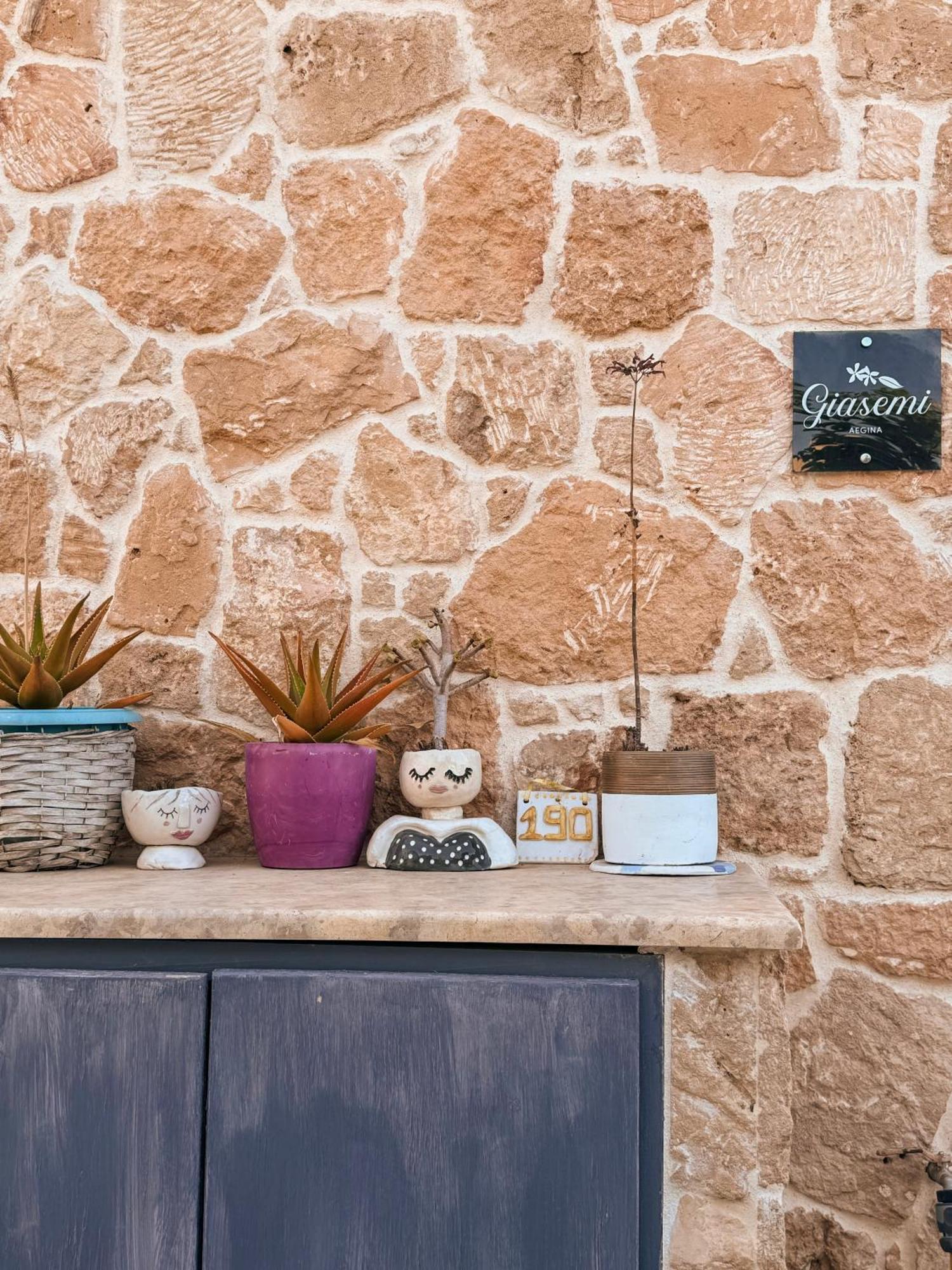 Giasemi Aegina, Modern House 빌라 외부 사진